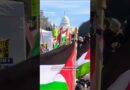 Inside a Plan to Shut Down Pro-Palestinian Activism