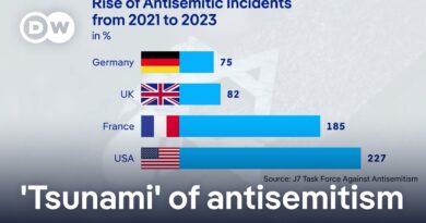 International Jewish task force: Sharp increase in antisemitism since October 7th | DW News