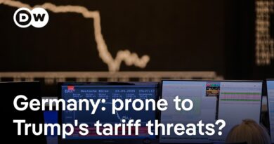 Is Germany Europe’s weak link in the tariff front? | DW News
