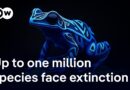Is it enough to save species in parks or do we need to rethink how we live? | DW News