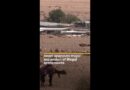 Israel approves major expansion of illegal settlements | AJ #shorts