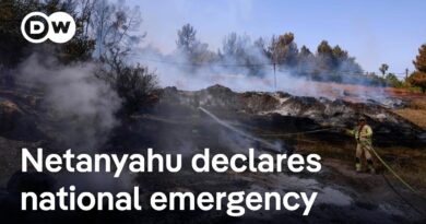 Israel deploys military to quell wildfires, declares national emergency | DW News