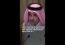 Israel executing ‘genocidal war’ against Palestinians, Qatar tells ICJ | AJ #shorts