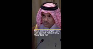 Israel executing ‘genocidal war’ against Palestinians, Qatar tells ICJ | AJ #shorts