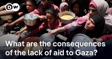 Israel says first few trucks with aid arrive in Gaza | DW News