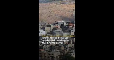 Israeli forces blow up residential building in Nur Shams camp | AJ #shorts