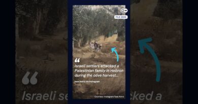 Israeli settlers violently attack home of prominent Palestinian activist in the West Bank | DW News