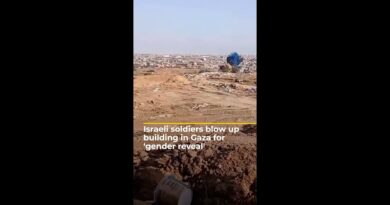 Israeli soldiers blow up building in Gaza for ‘gender reveal’ party