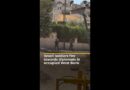 Israeli soldiers fire towards foreign diplomats in occupied West Bank | AJ #shorts