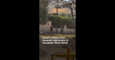 Israeli soldiers fire towards foreign diplomats in occupied West Bank | AJ #shorts