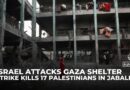 Israeli strike kills 17 at Gaza school sheltering displaced families, survivors recount horror