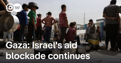 Israel’s bombardment of Gaza: The Impact on aid and Palestinians on the ground | DW News
