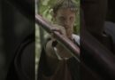 LARPing saved my life