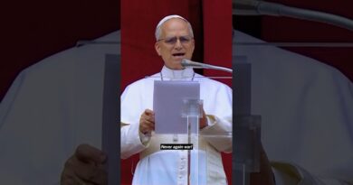 Leo XIV Calls for End to War in First Sunday Blessing as Pope