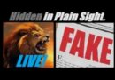 LIVE! Desperate… What! MORE FAKE NEWS? US/China Trade Talks? Yeah, ITS FAKE NEWS. Proof? Mannarino