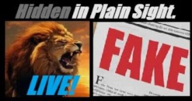 LIVE! Desperate… What! MORE FAKE NEWS? US/China Trade Talks? Yeah, ITS FAKE NEWS. Proof? Mannarino