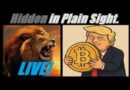 LIVE! The $42 Dollar LIE. The Bitcoin/Gold Deception. (IMPORTANT UPDATES) Mannarino