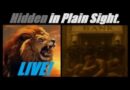LIVE! THE BANKS ARE BEING PROTECTED, AND WE THE PEOPLE ARE SUFFERING FOR IT. Mannarino