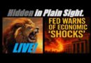 LIVE! THE FED WARNS OF “INFLATION VOLATILITY” AND “SUDDEN SHOCKS.” BE READY FOR ANYTHING. Mannarino