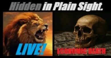 LIVE! US ECONOMIC DEATH… (DOGE A COMPLETE FAILURE). A FULL BREAKDOWN. Mannarino