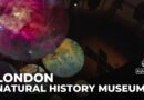 London’s Natural History Museum explores possibility of life beyond Earth