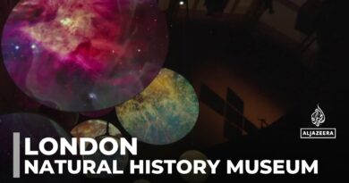 London’s Natural History Museum explores possibility of life beyond Earth