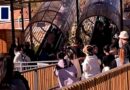 ‘Magic carpet’ ride in China malfunctions, injuring tourists