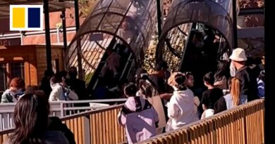 ‘Magic carpet’ ride in China malfunctions, injuring tourists