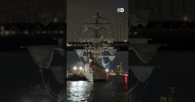 Mexican Navy ship crashes into Brooklyn Bridge in New York | DW News