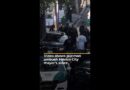 Mexico City mayor’s aides shot dead in broad daylight ambush