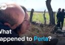 Mexico: Parents search for their missing daughter | DW Documentary
