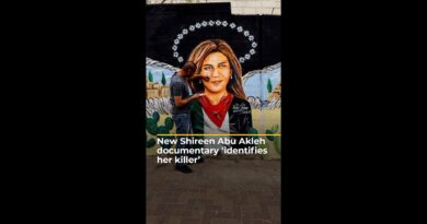 New Shireen Abu Akleh documentary ‘identifies her killer’ | AJ #shorts