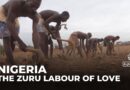 Nigeria’s Zuru people preserve marriage tradition through farm labour