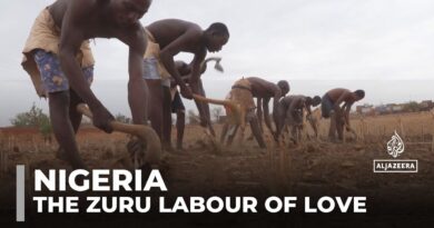 Nigeria’s Zuru people preserve marriage tradition through farm labour