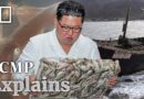 North Korean ‘ghost ships’ and US$700 million heist on the high seas