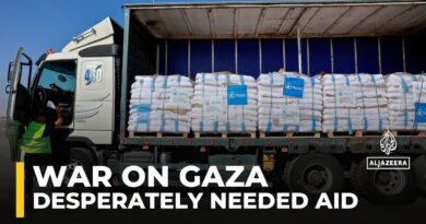 Number of aid trucks allowed to enter Gaza a ‘drop in the ocean’ amid dire need