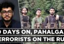 Pahalgam Terror Attack: Pressure On Modi Govt Mounts As Terrorists Yet To Be Nabbed