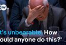 Palestinian ambassador breaks down in tears during UNSC address on Gaza | DW News