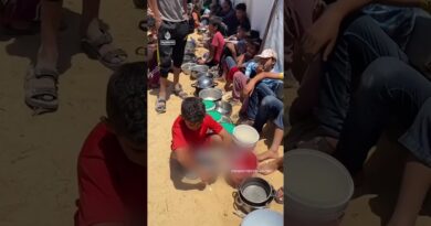 Palestinian children wait in long lines for food | AJ #shorts