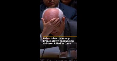 Palestinian UN envoy breaks down while recounting killed children in Gaza | AJ #shorts