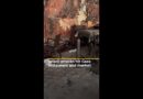 Palestinians in Gaza killed by Israeli drone strike at restaurant | AJ #shorts