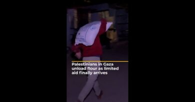 Palestinians in Gaza unload flour as limited aid finally arrives | AJ #shorts