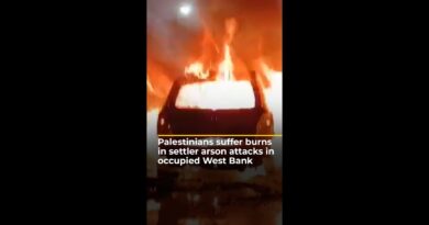 Palestinians injured as settlers rampage through the West Bank | AJ #shorts