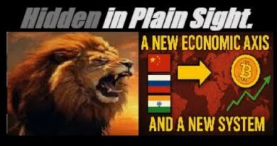 (PEOPLE ARE NOT READY FOR THIS). A NEW ECONOMIC AXIS AND A NEW SYSTEM. Thoughts? Comments? Mannarino