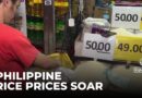 Philippine rice subsidies: Some Asian nations grapple with soaring prices