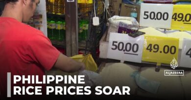 Philippine rice subsidies: Some Asian nations grapple with soaring prices