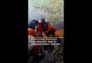 Plane crash survivors rescued from alligator-infested swamp in Bolivia | AJ #shorts