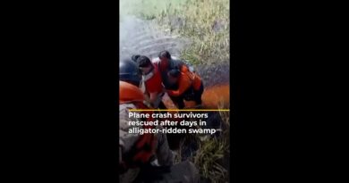 Plane crash survivors rescued from alligator-infested swamp in Bolivia | AJ #shorts