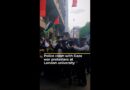 Police clash with Gaza war protesters at London university