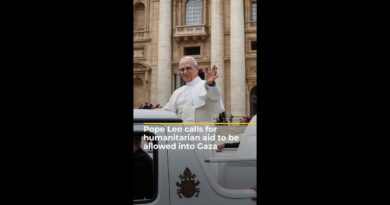 Pope Leo calls for humanitarian aid trucks to enter Gaza | AJ #shorts